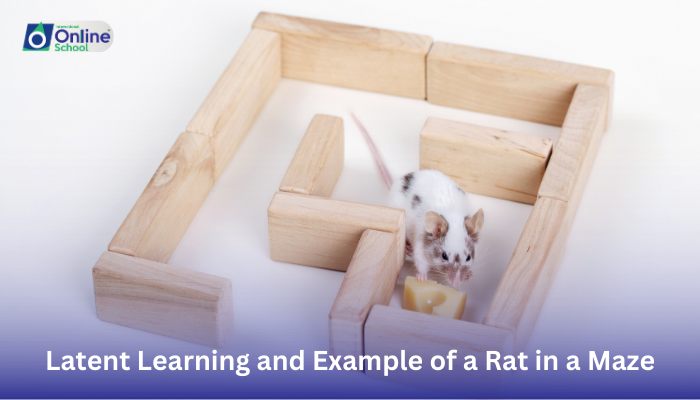 Lesson 16: Latent Learning and Example of a Rat in a Maze